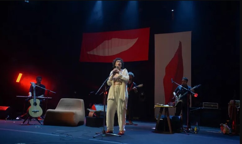 Adriana Calcanhotto mostra seios durante show em Salvador; veja fotos 8