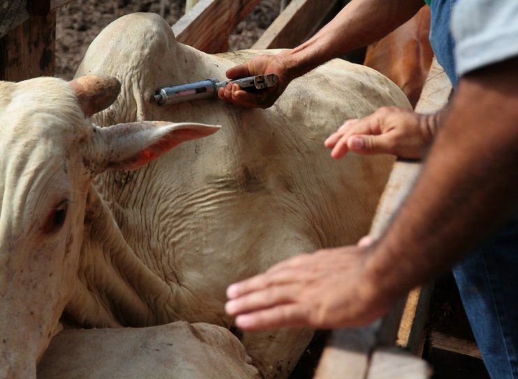 PREFEITURA DE PORTO SEGURO E GOVERNO DA BAHIA OFERECEM CURSO DE AGENTE VACINADOR 4