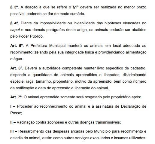 Cidade baiana autoriza abate de animais em situação de rua 19