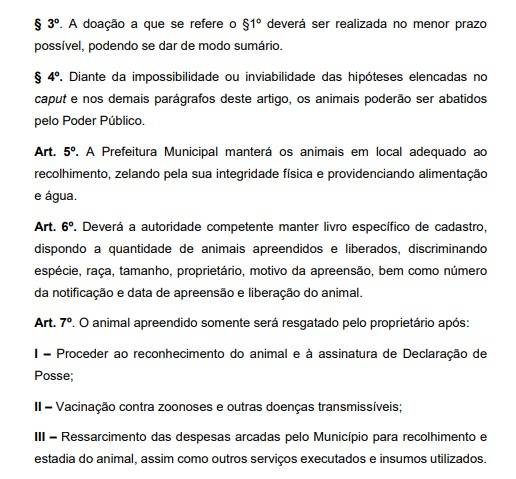 Cidade baiana autoriza abate de animais em situação de rua 11