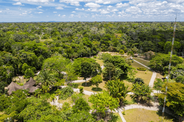 Conservação da biodiversidade é foco para a Veracel Celulose 4