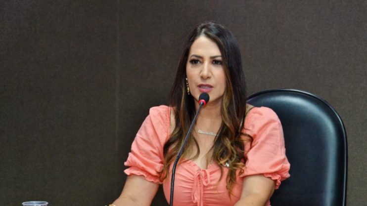 Deputada propõe videomonitoramento da PM em distritos de Porto Seguro 11