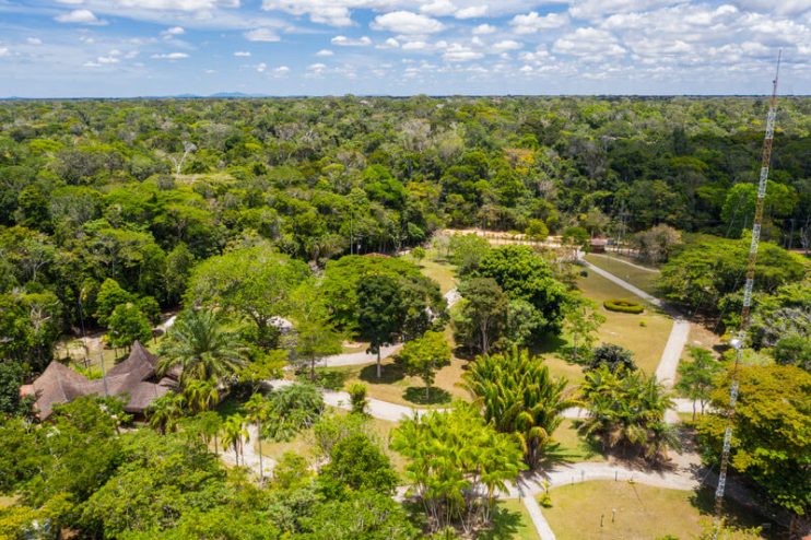 No Dia do Meio Ambiente, Veracel recebe evento de conscientização ambiental e destaca suas práticas sustentáveis 8