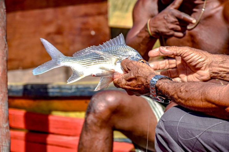 WhatsApp Image 2023-07-03 at 16.24.06 (1) Festa de São Pedro teve procissão e missa na Colônia dos Pescadores 14