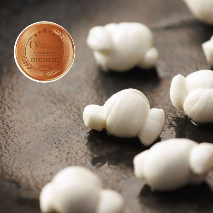 WhatsApp Image 2023-07-17 at 14.31.11 (2) Certificação municipal e inseminação artificial impulsionam negócios locais 14