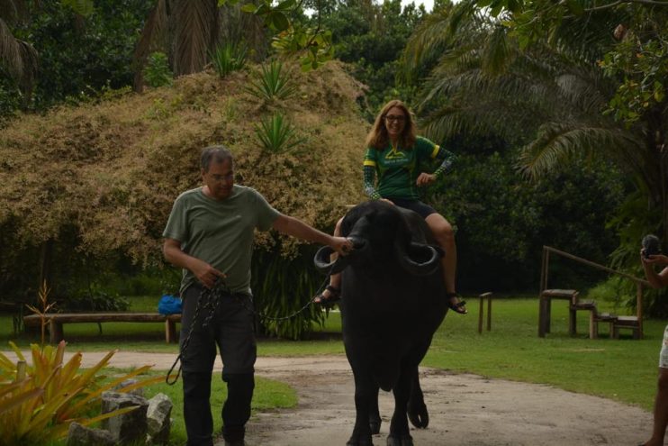 WhatsApp Image 2023-07-17 at 14.31.11 (3) Certificação municipal e inseminação artificial impulsionam negócios locais 13