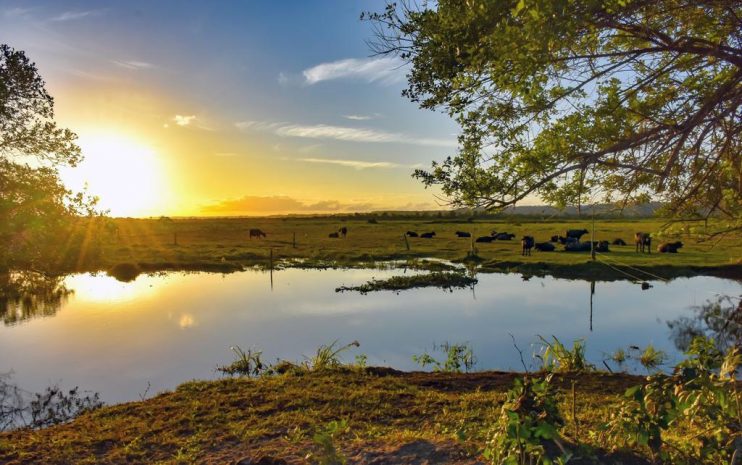 WhatsApp Image 2023-07-17 at 14.31.12 (2) Certificação municipal e inseminação artificial impulsionam negócios locais 10