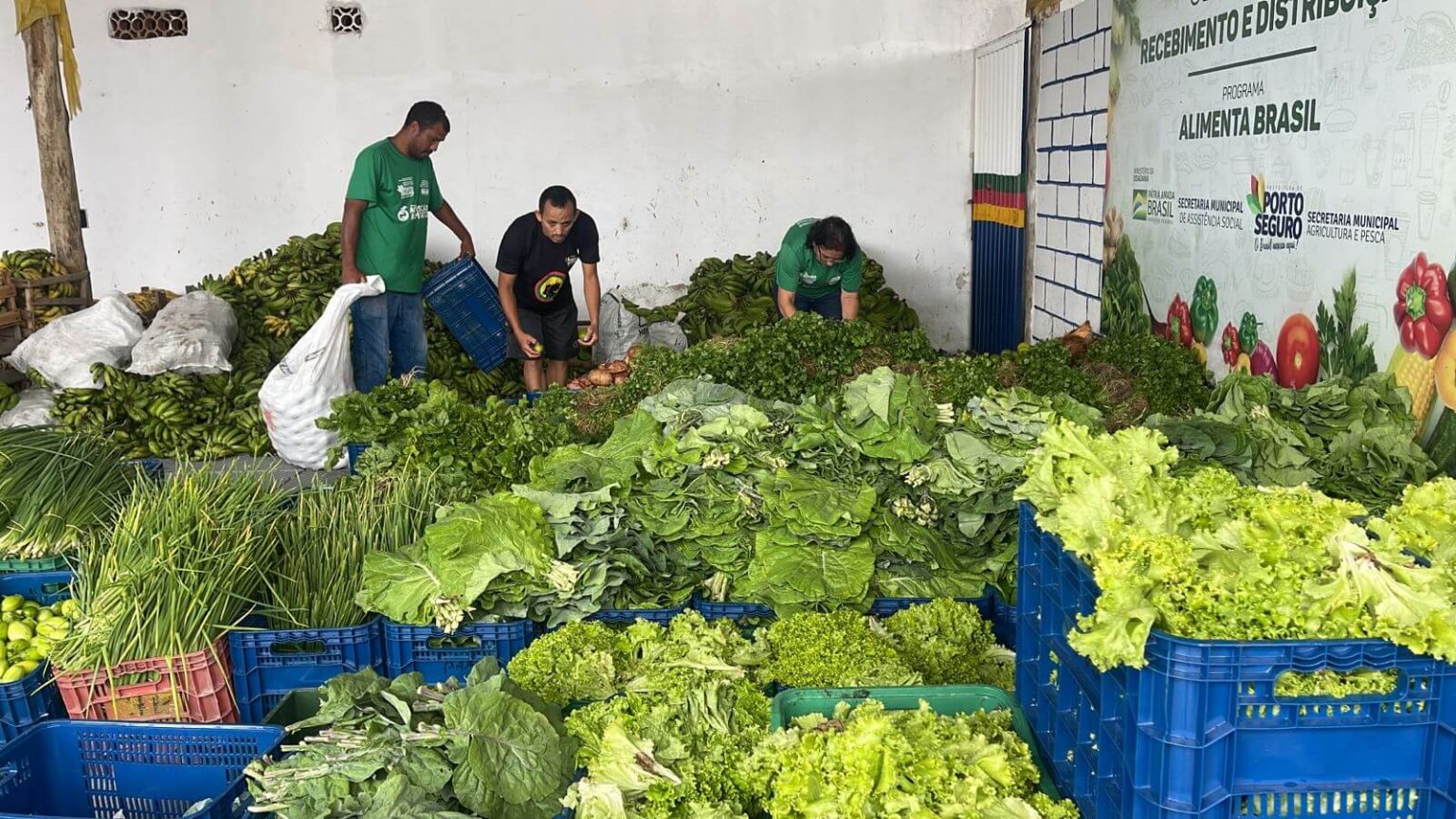 SEMANA POSITIVA: Programa de Aquisição de Alimentos beneficia agricultores e entidades 5