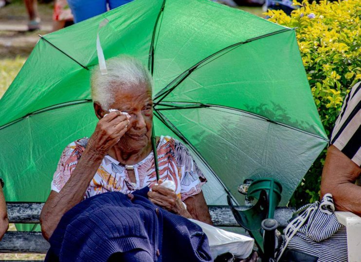 Fé e devoção reúnem multidão em honra a N. Srª d´Ajuda 39