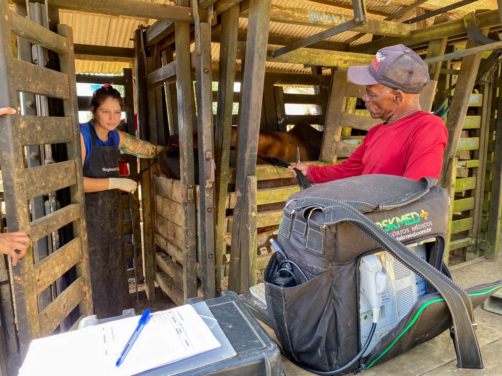Programa “Mais Pecuária” obtém sucesso com inseminação de bovinos em Eunápolis 11