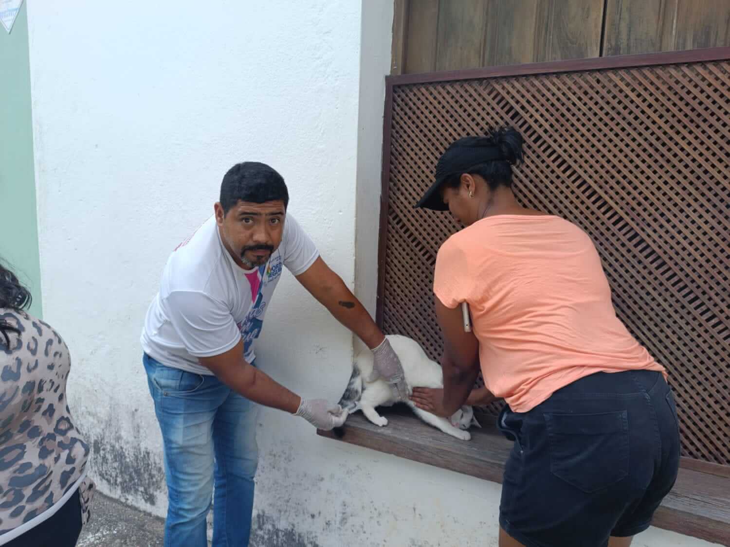 Vacinação antirrábica atinge a marca de 27.811 cães e gatos em Porto Seguro 7