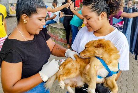 Vacinação antirrábica atinge a marca de 27.811 cães e gatos em Porto Seguro 23