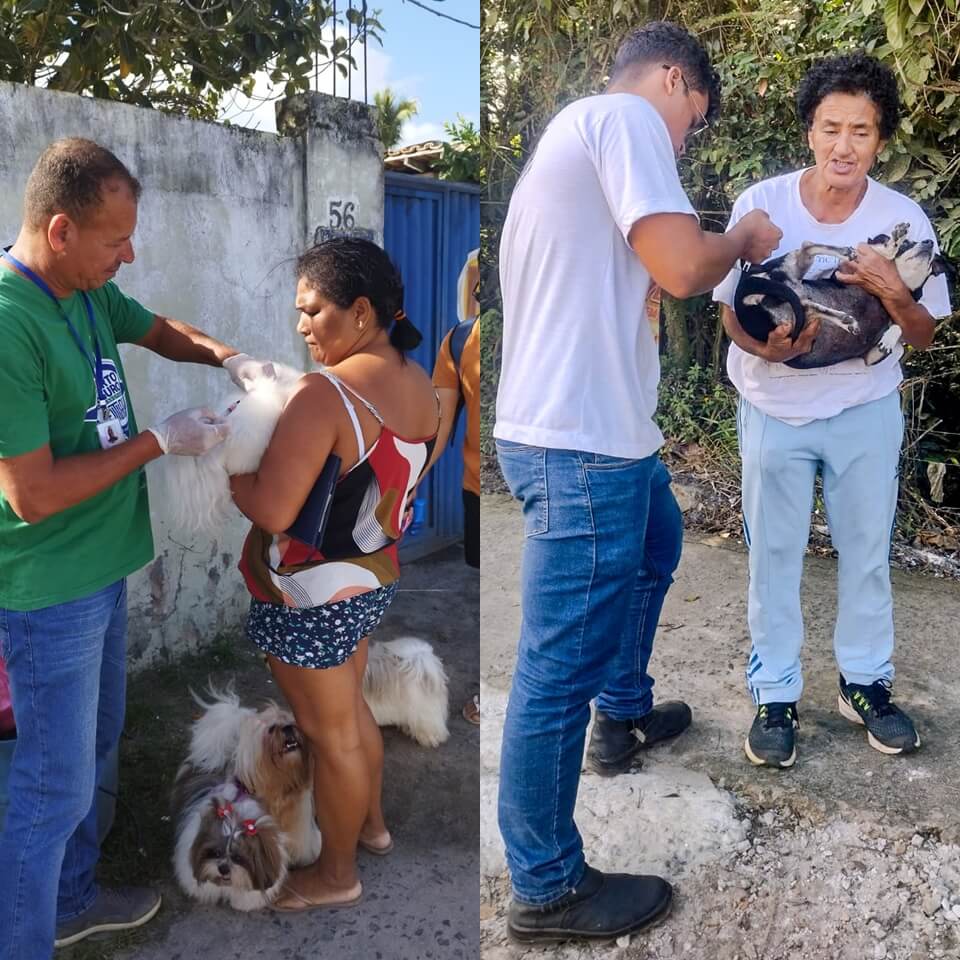 Vacinação antirrábica atinge a marca de 27.811 cães e gatos em Porto Seguro 8