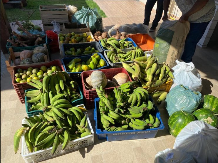 Eunápolis encerra Programa de Aquisição de Alimentos 2023 com R$ 930 mil destinados à agricultura familiar 19