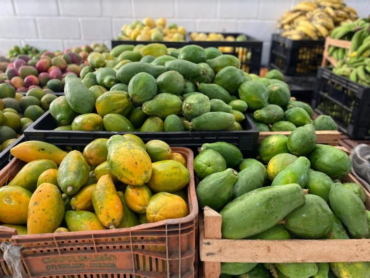 Eunápolis encerra Programa de Aquisição de Alimentos 2023 com R$ 930 mil destinados à agricultura familiar 16