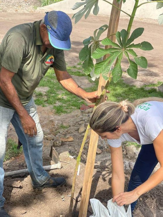 PORTO SEGURO VERDE: PROJETO ALCANÇA PLANTIO DE 240 MUDAS DE ÁRVORES NATIVAS 9
