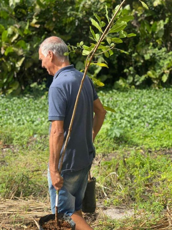 PORTO SEGURO VERDE: PROJETO ALCANÇA PLANTIO DE 240 MUDAS DE ÁRVORES NATIVAS 10