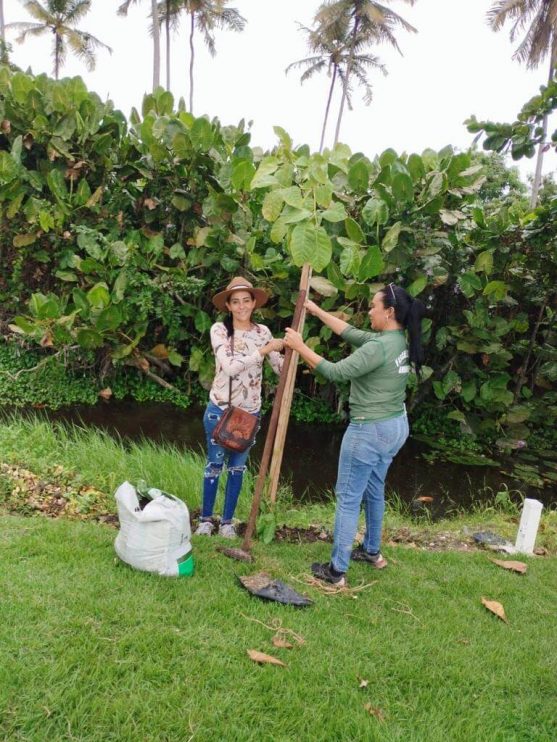 PORTO SEGURO VERDE: PROJETO ALCANÇA PLANTIO DE 240 MUDAS DE ÁRVORES NATIVAS 13