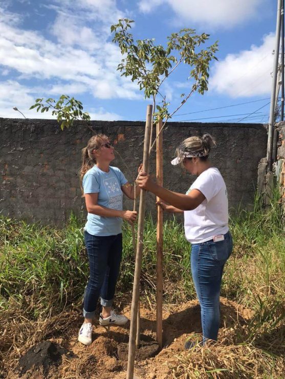 PORTO SEGURO VERDE: PROJETO ALCANÇA PLANTIO DE 240 MUDAS DE ÁRVORES NATIVAS 16