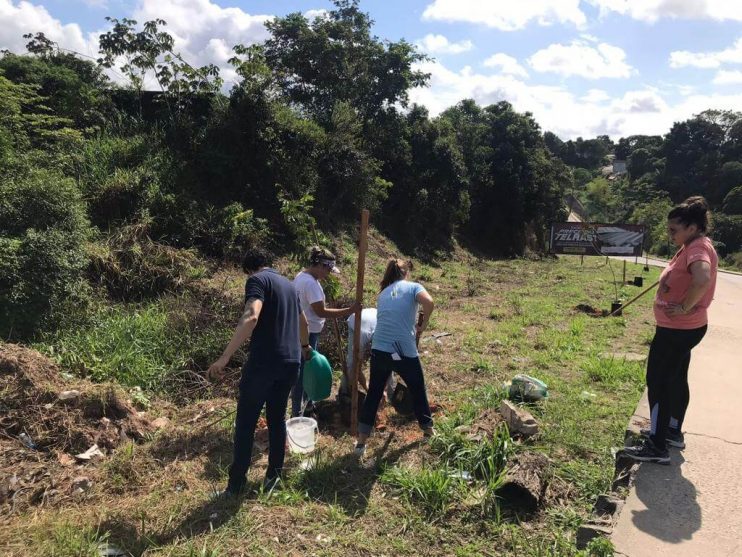 PORTO SEGURO VERDE: PROJETO ALCANÇA PLANTIO DE 240 MUDAS DE ÁRVORES NATIVAS 17
