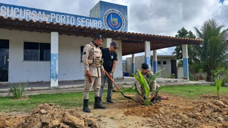 PORTO SEGURO VERDE: PROJETO ALCANÇA PLANTIO DE 240 MUDAS DE ÁRVORES NATIVAS 18
