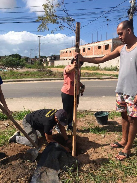 PORTO SEGURO VERDE: PROJETO ALCANÇA PLANTIO DE 240 MUDAS DE ÁRVORES NATIVAS 25