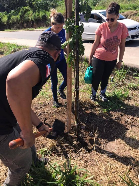 PORTO SEGURO VERDE: PROJETO ALCANÇA PLANTIO DE 240 MUDAS DE ÁRVORES NATIVAS 20