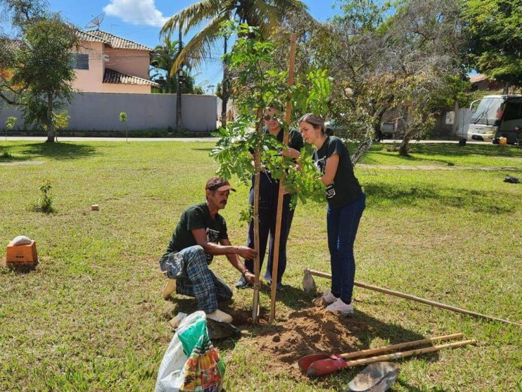 PORTO SEGURO VERDE: PROJETO ALCANÇA PLANTIO DE 240 MUDAS DE ÁRVORES NATIVAS 30