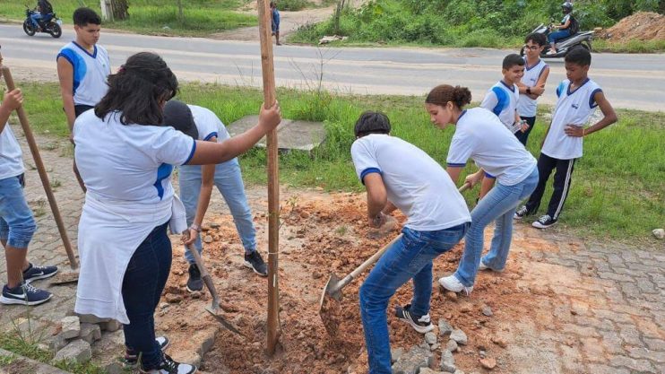 PORTO SEGURO VERDE: PROJETO ALCANÇA PLANTIO DE 240 MUDAS DE ÁRVORES NATIVAS 24