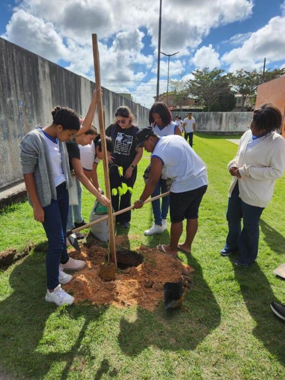 PORTO SEGURO VERDE: PROJETO ALCANÇA PLANTIO DE 240 MUDAS DE ÁRVORES NATIVAS 26