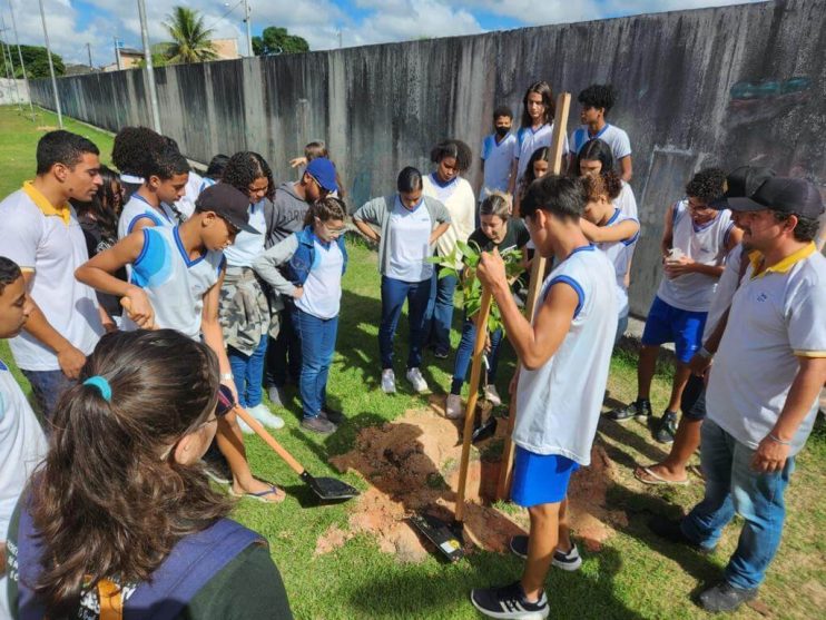 PORTO SEGURO VERDE: PROJETO ALCANÇA PLANTIO DE 240 MUDAS DE ÁRVORES NATIVAS 27