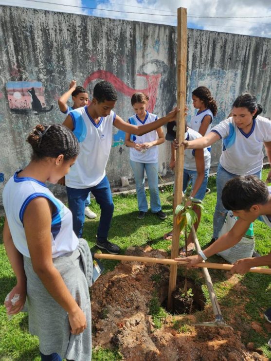 PORTO SEGURO VERDE: PROJETO ALCANÇA PLANTIO DE 240 MUDAS DE ÁRVORES NATIVAS 36