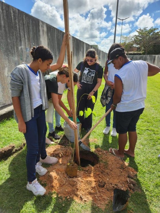 PORTO SEGURO VERDE: PROJETO ALCANÇA PLANTIO DE 240 MUDAS DE ÁRVORES NATIVAS 34