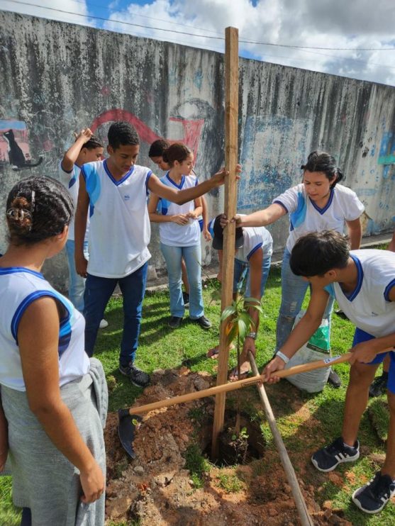PORTO SEGURO VERDE: PROJETO ALCANÇA PLANTIO DE 240 MUDAS DE ÁRVORES NATIVAS 35