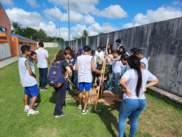 PORTO SEGURO VERDE: PROJETO ALCANÇA PLANTIO DE 240 MUDAS DE ÁRVORES NATIVAS 32