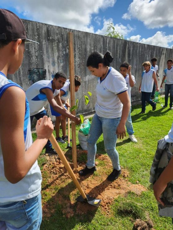 PORTO SEGURO VERDE: PROJETO ALCANÇA PLANTIO DE 240 MUDAS DE ÁRVORES NATIVAS 33