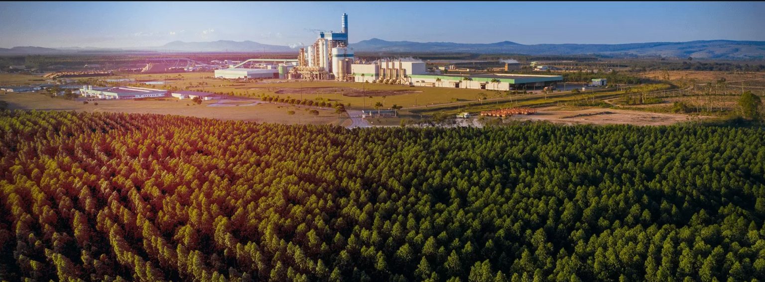 Veracel abre vaga para Coordenadora ou Coordenador em Manejo Florestal 6