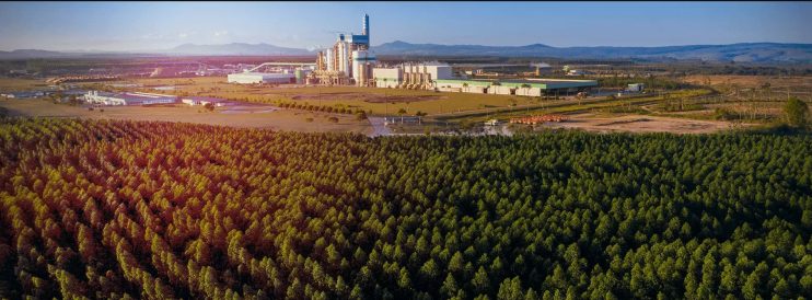 Veracel abre vaga para Coordenadora ou Coordenador em Manejo Florestal Veracel abre vaga para Coordenadora ou Coordenador em Manejo Florestal 4