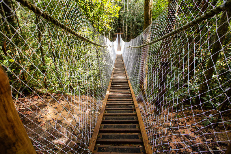 Estação Veracel celebra 25 anos de conservação e compromisso ambiental 5
