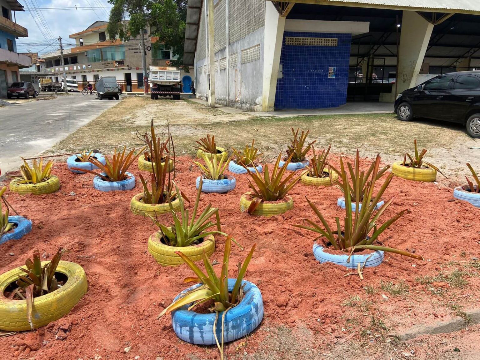 INOVAÇÃO QUE TRANSFORMA: Jardins contra o descarte irregular de lixo e entulhos 12