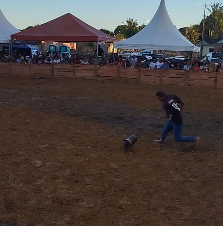 Vereador Adeilson do Açougue realiza pelo segundo ano consecutivo a Pega do Leitão + Natal Solidário 15