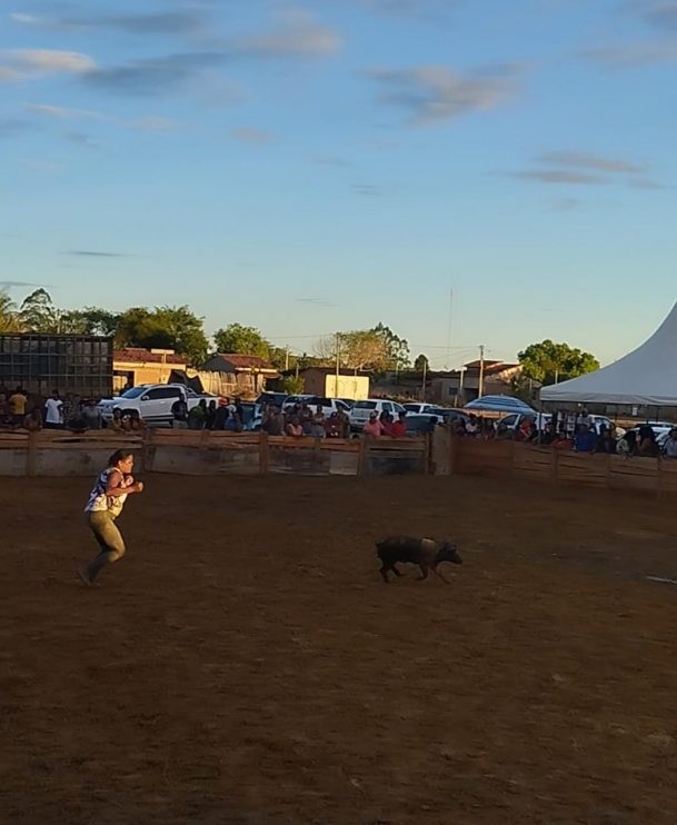 Vereador Adeilson do Açougue realiza pelo segundo ano consecutivo a Pega do Leitão + Natal Solidário 16