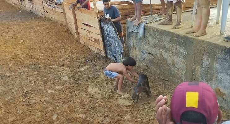 Vereador Adeilson do Açougue realiza pelo segundo ano consecutivo a Pega do Leitão + Natal Solidário 14