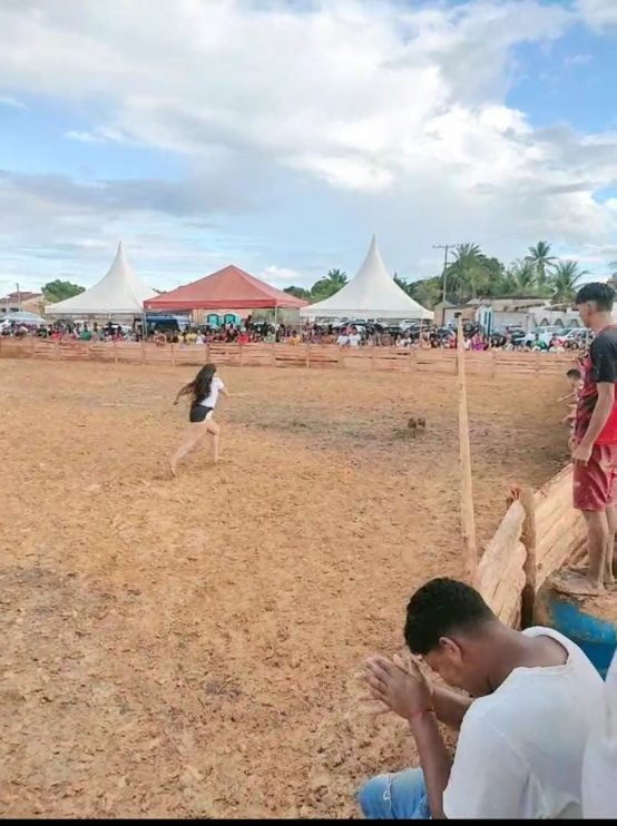 Vereador Adeilson do Açougue realiza pelo segundo ano consecutivo a Pega do Leitão + Natal Solidário 12