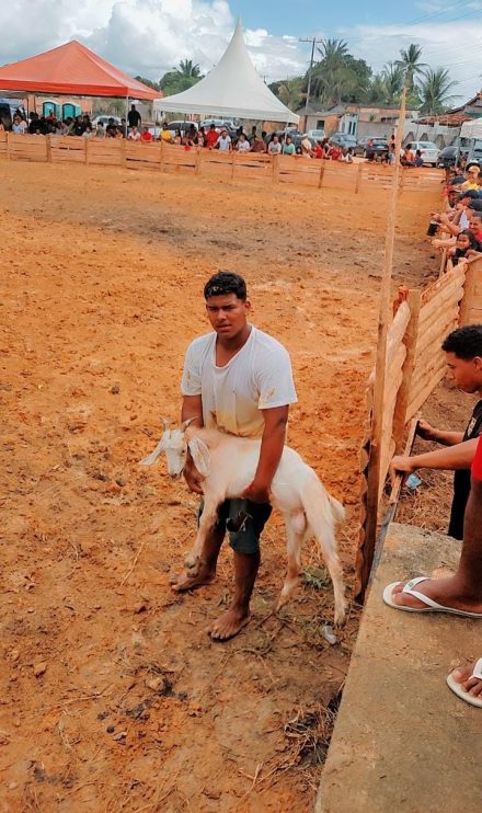 Vereador Adeilson do Açougue realiza pelo segundo ano consecutivo a Pega do Leitão + Natal Solidário 11