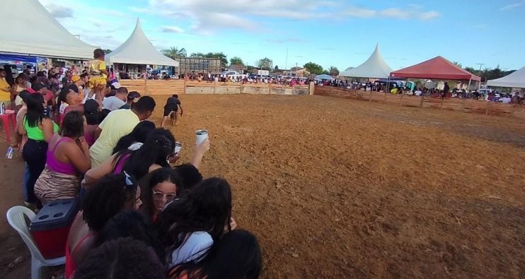 Vereador Adeilson do Açougue realiza pelo segundo ano consecutivo a Pega do Leitão + Natal Solidário 9