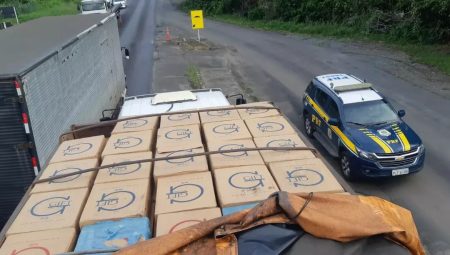 Caminhão com 425 mil maços de cigarros contrabandeados é apreendido pela PRF no Sul da Bahia 8