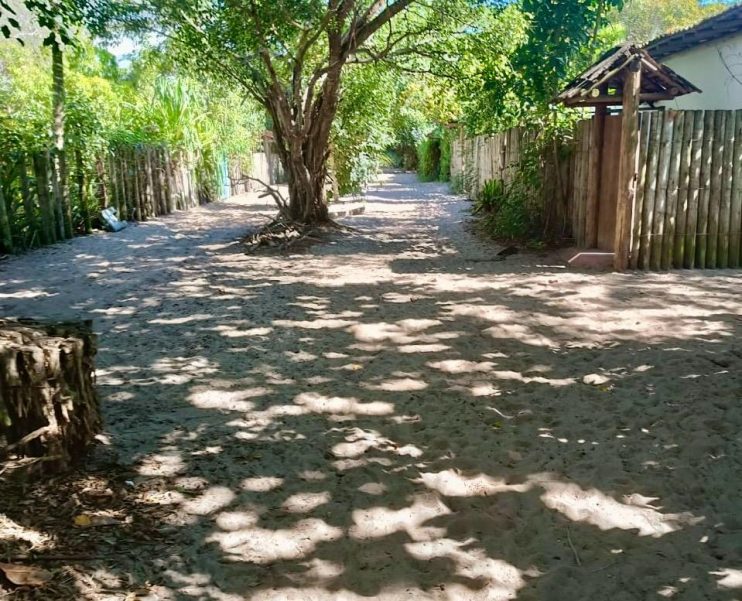 Operação Verão de limpeza pública em Caraíva segue a todo vapor 13