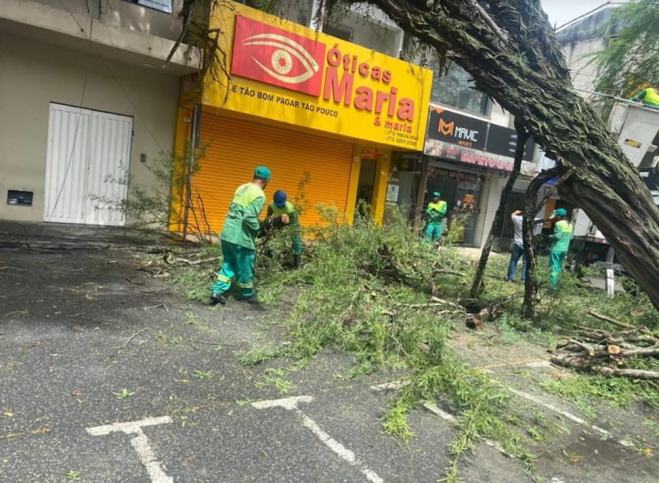 Força-tarefa da Prefeitura de Eunápolis remove árvore que inclinou no centro de Eunápolis durante chuvas 17