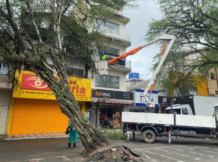Força-tarefa da Prefeitura de Eunápolis remove árvore que inclinou no centro de Eunápolis durante chuvas 16